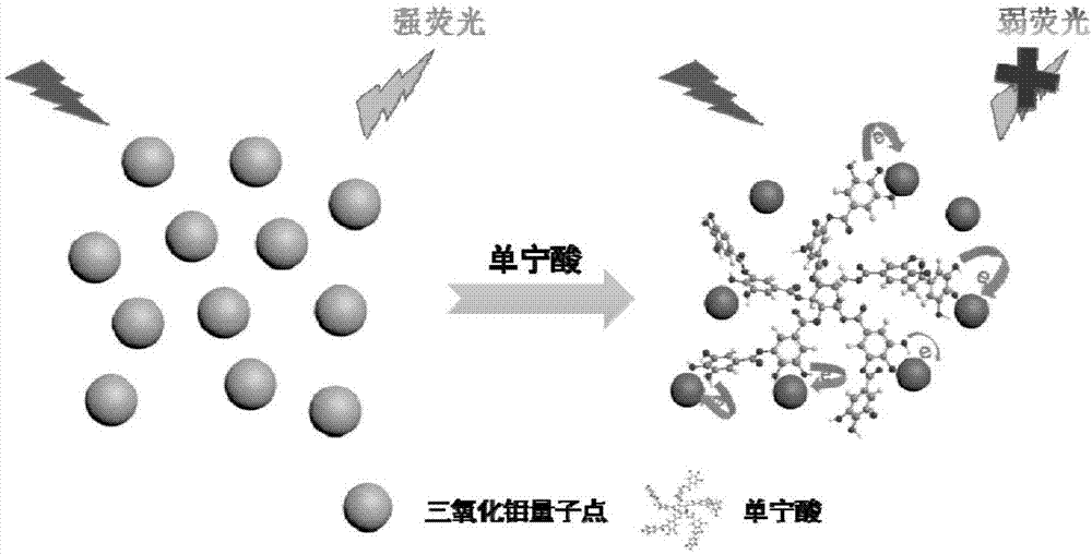 湖北可靠的2,3,4-三羥基苯甲醛有哪些用途