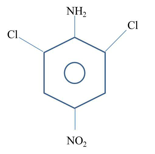 鄂東地區(qū)哪些企業(yè)生產(chǎn)4-硝基苯胺生產(chǎn)廠家